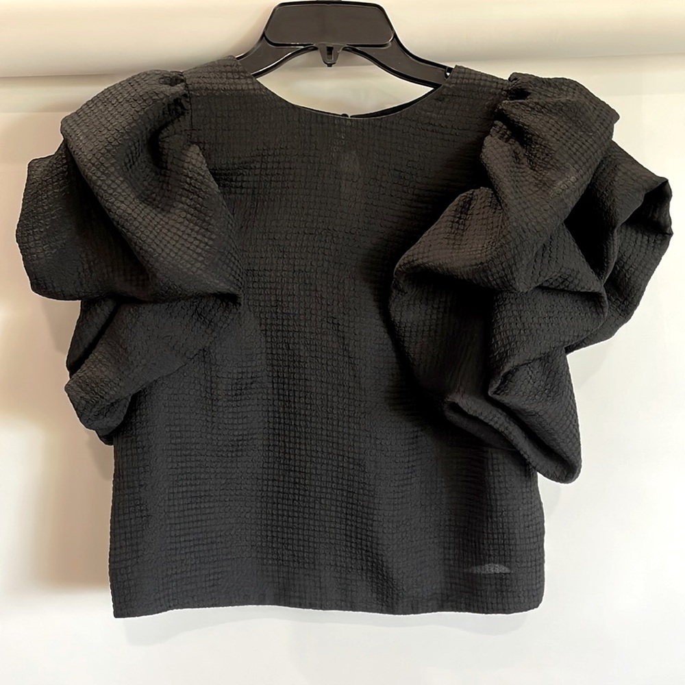 Express puffed sleeve cropped length top
